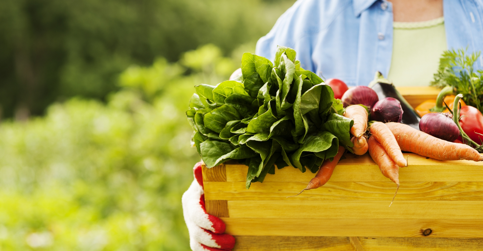 GIF Gemüse Leonding