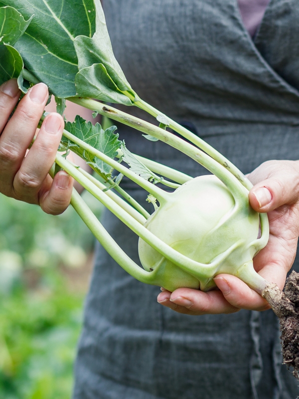 GIF Gemüse Leonding