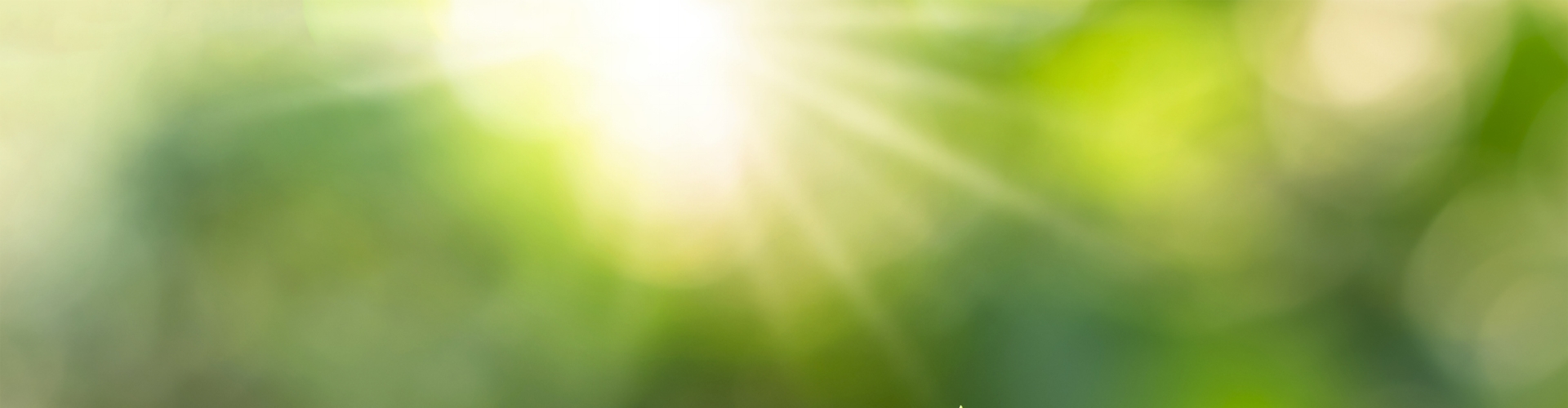 GIF Gemüse Leonding