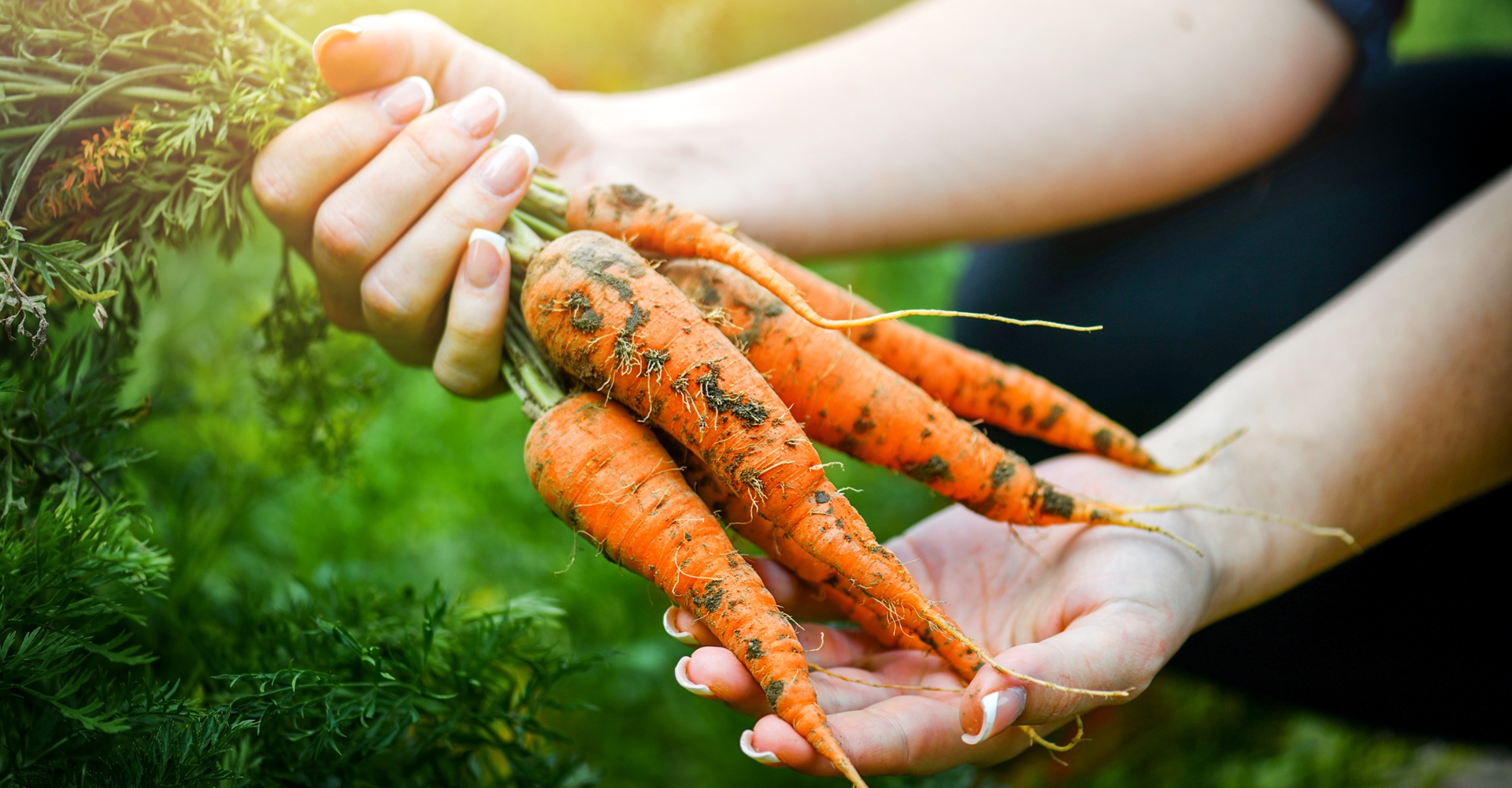 GIF Gemüse Leonding