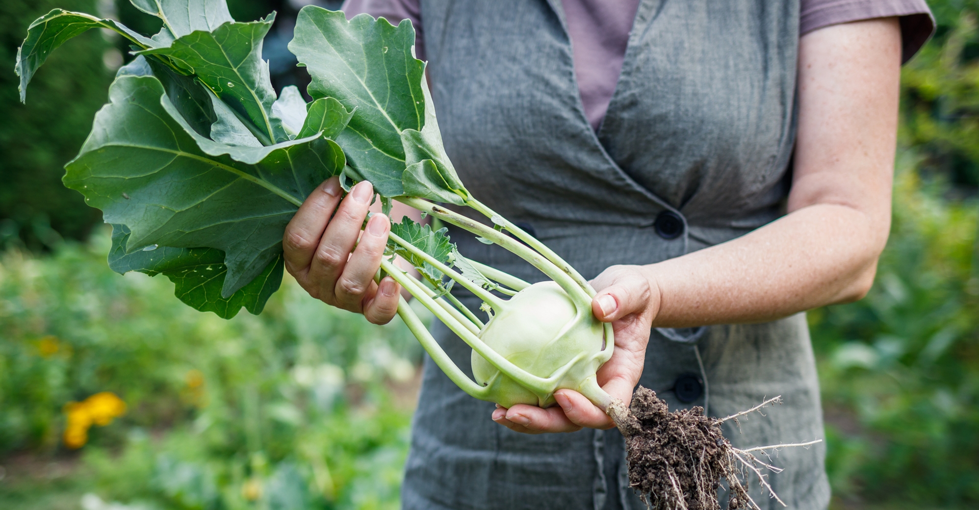 GIF Gemüse Leonding