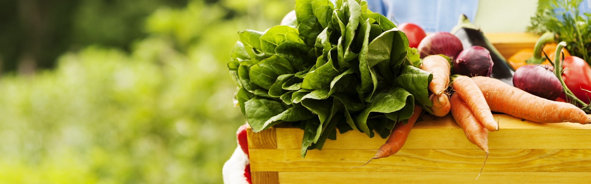 GIF Gemüse Leonding