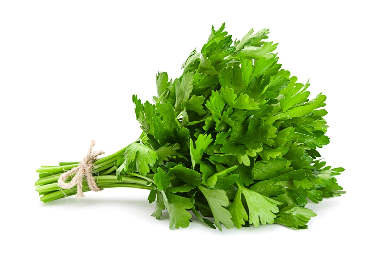 GIF Gemüse Leonding